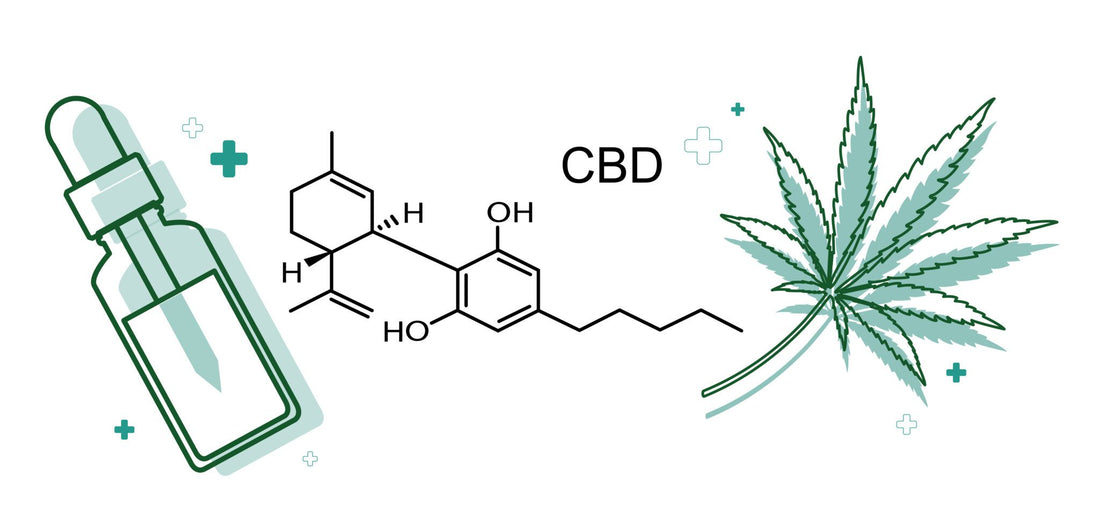 Co to jest CBD?