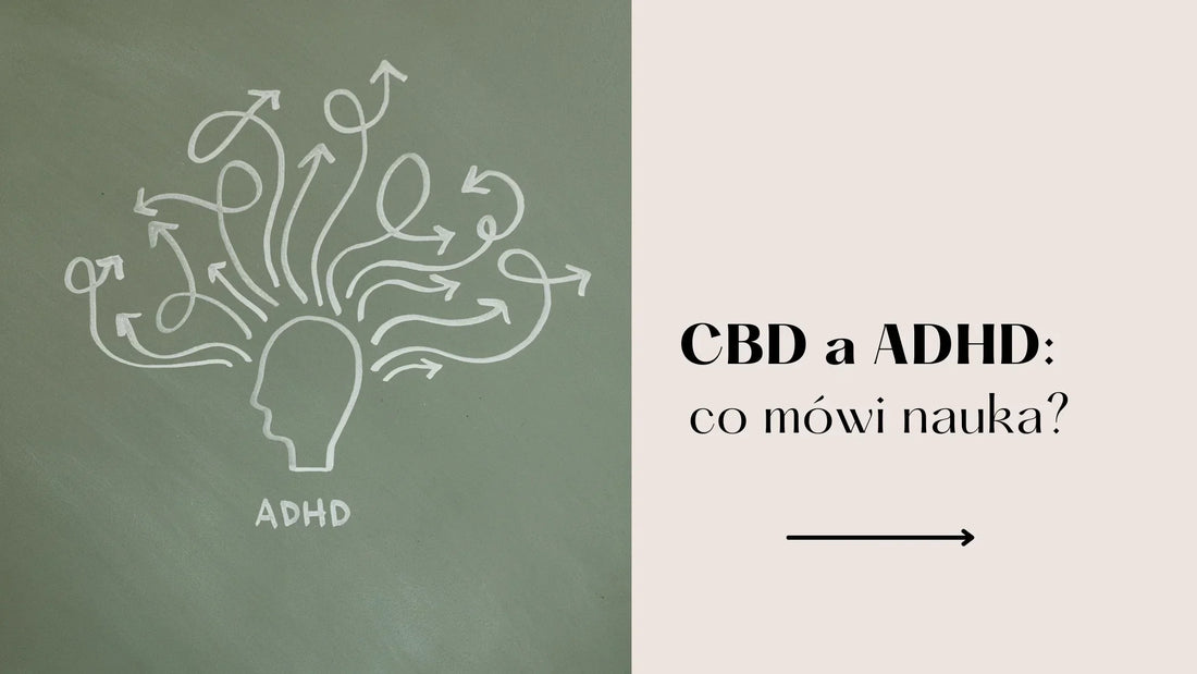CBD w ADHD: co mówi nauka?