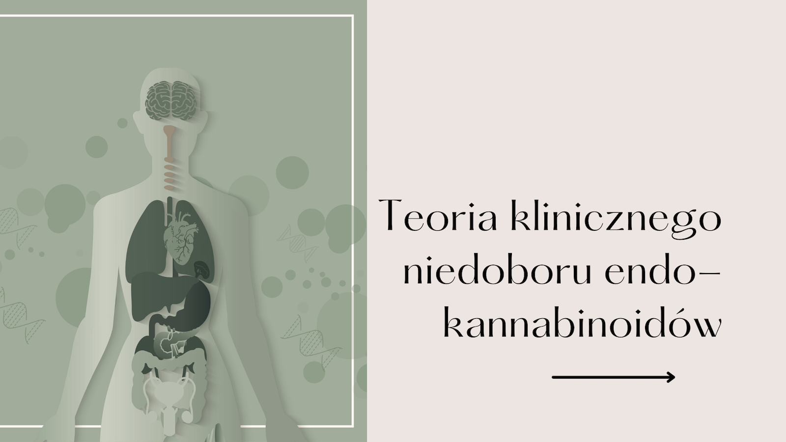Kliniczny niedobór endokannabinoidów (CECD)