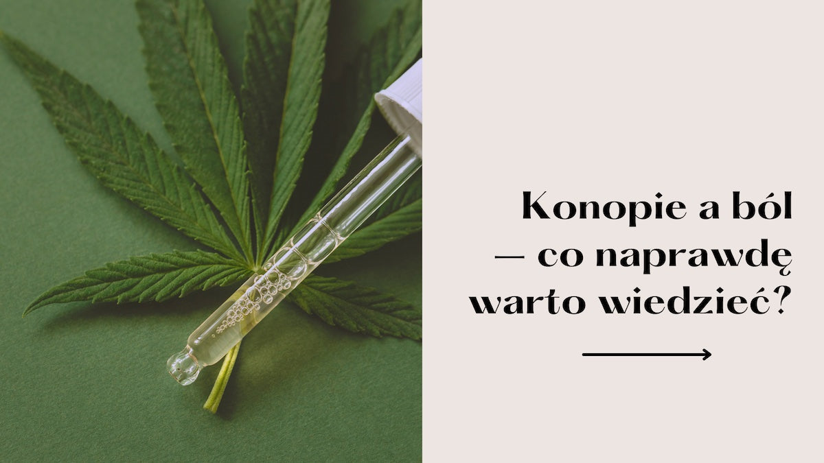 Konopie w terapii bólu: co warto wiedzieć?