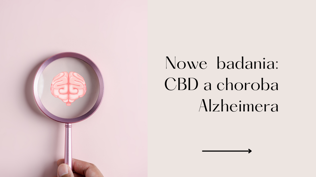 Nowe badanie potwierdza potencjał CBD w zwalczaniu choroby Alzheimera
