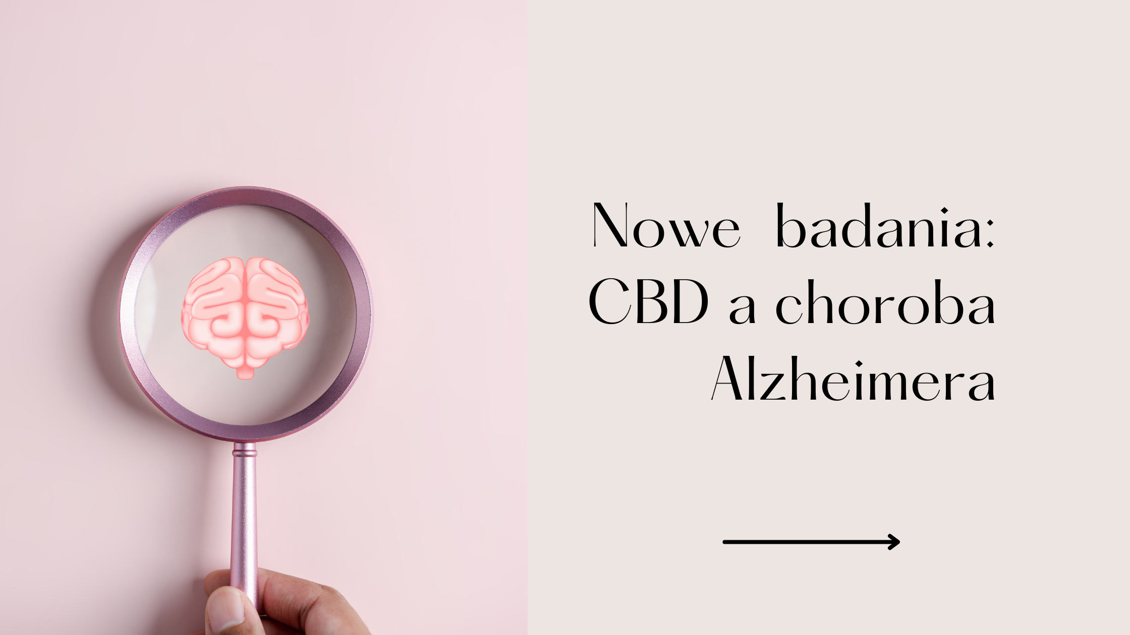 Nowe badanie potwierdza potencjał CBD w zwalczaniu choroby Alzheimera