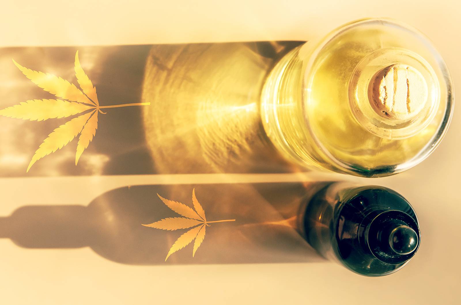 Receptory kannabinoidowe: CB1 i CB2