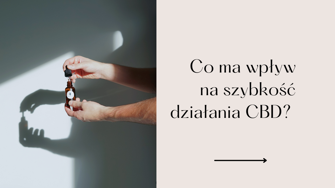 Co poprawia szybkość działania CBD w organizmie?