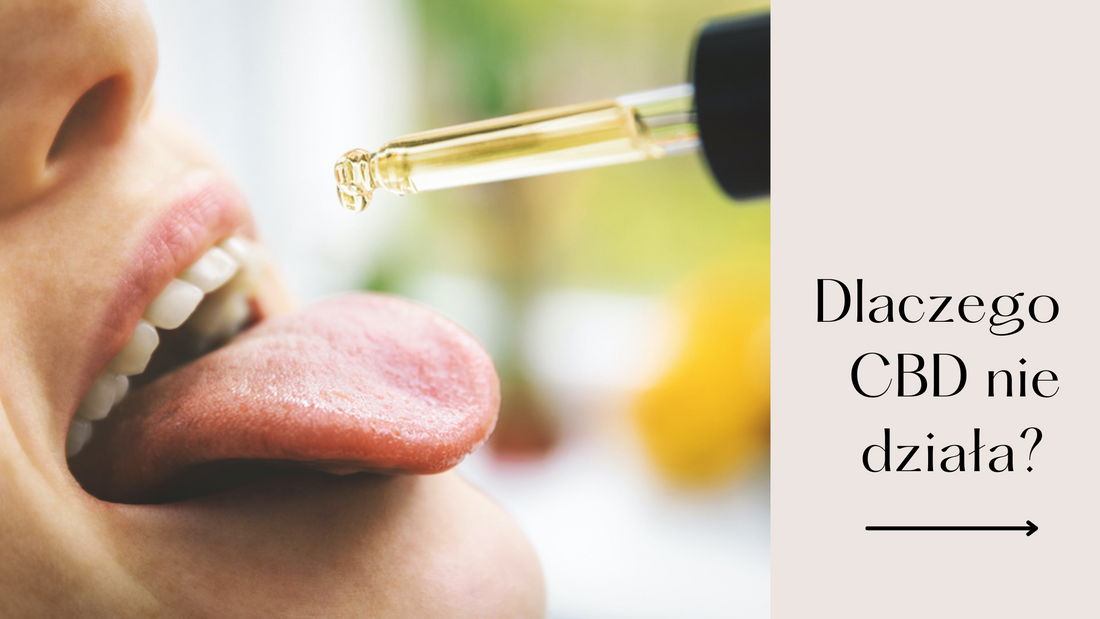 Dlaczego CBD nie działa? Poznaj 9 powodów