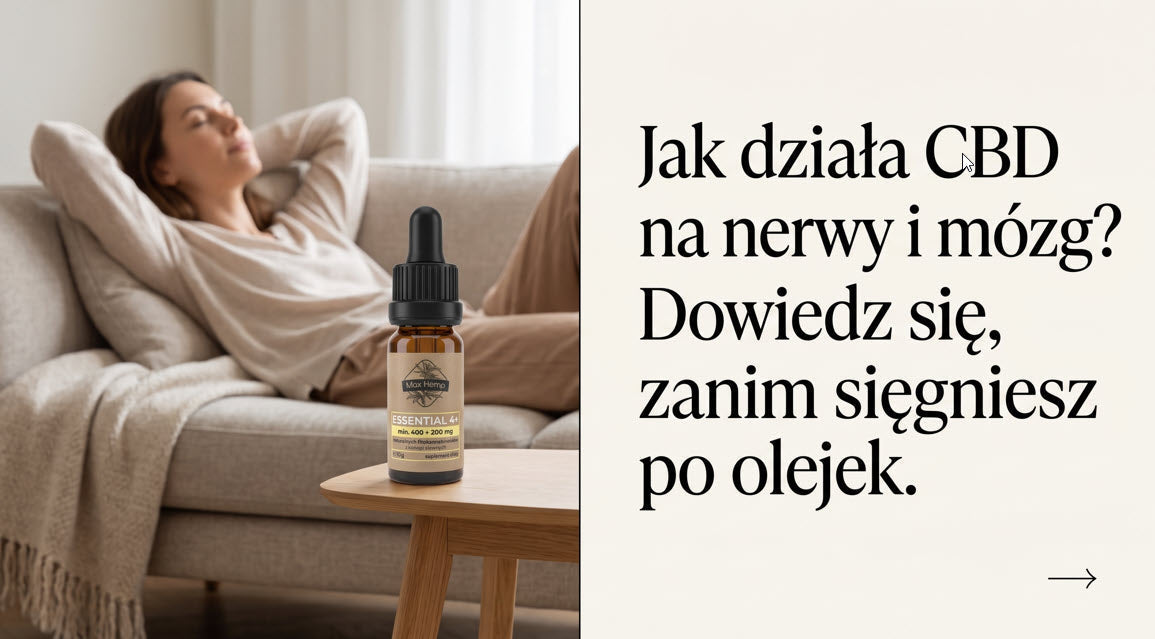 Jak działa CBD na nerwy i mózg? Dowiedz się, zanim sięgniesz po olejek