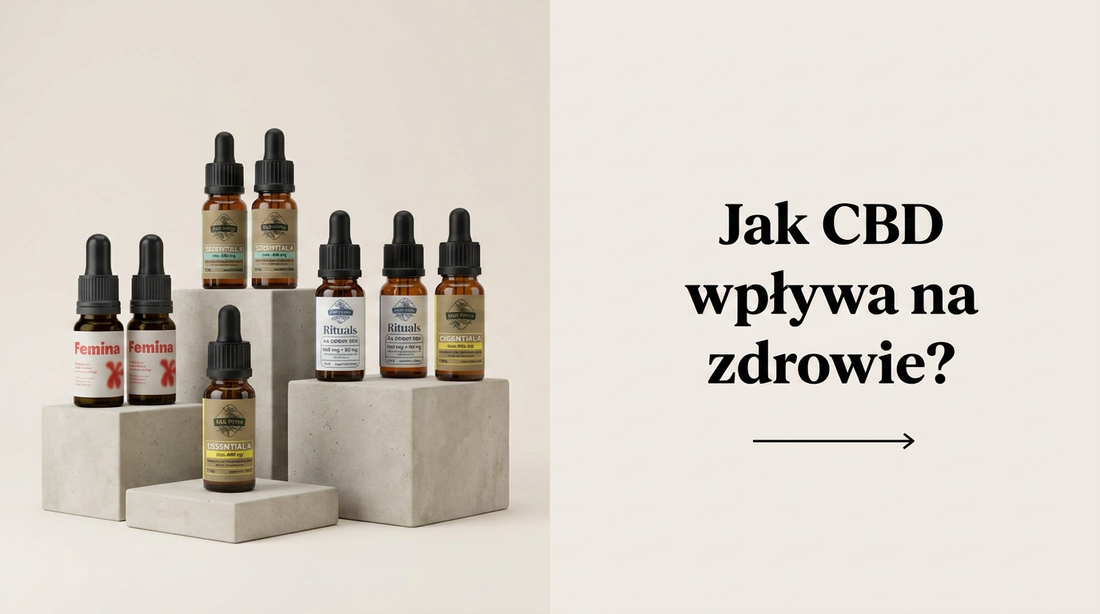Jak CBD wpływa na zdrowie? Właściwości terapeutyczne olejku konopnego