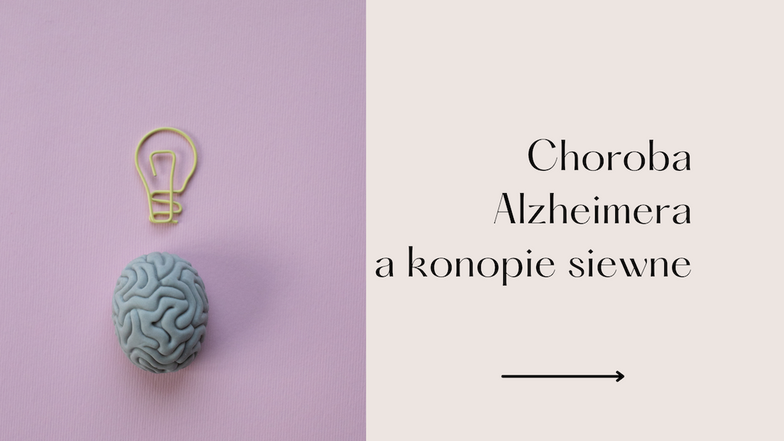 Konopie siewne a choroba Alzheimera
