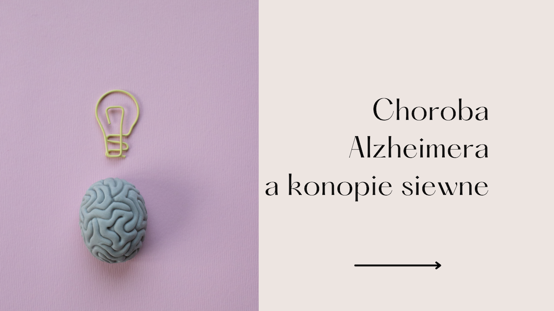 Konopie siewne a choroba Alzheimera