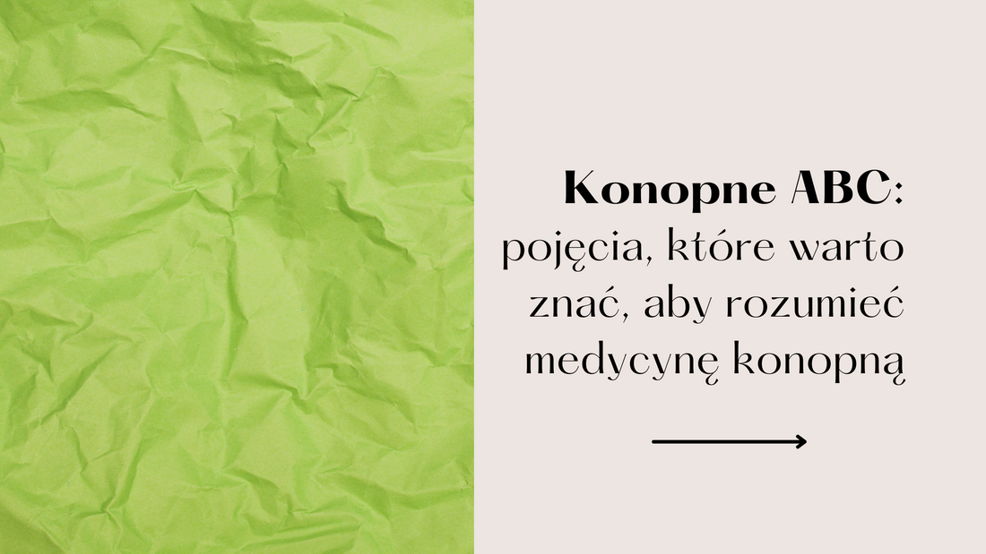 Konopne ABC: słownik pojęć, które warto znać