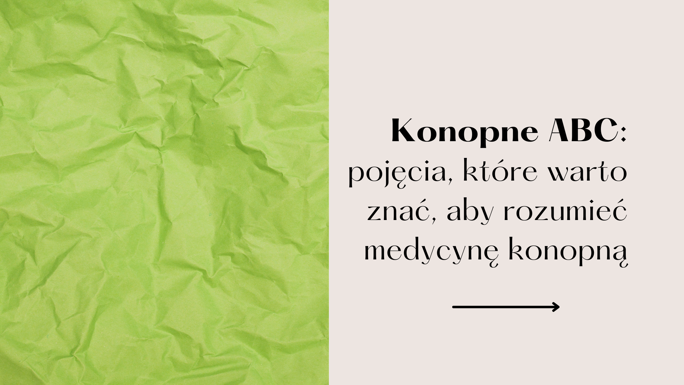 Konopne ABC: słownik pojęć, które warto znać