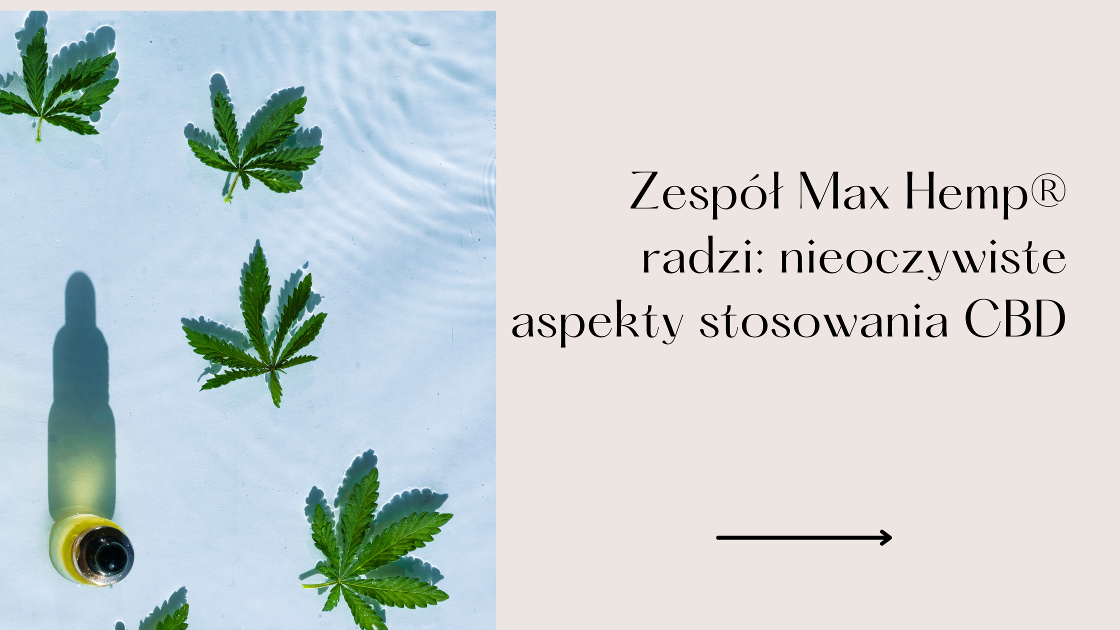Zespół Max Hemp® radzi: nieoczywiste aspekty stosowania CBD