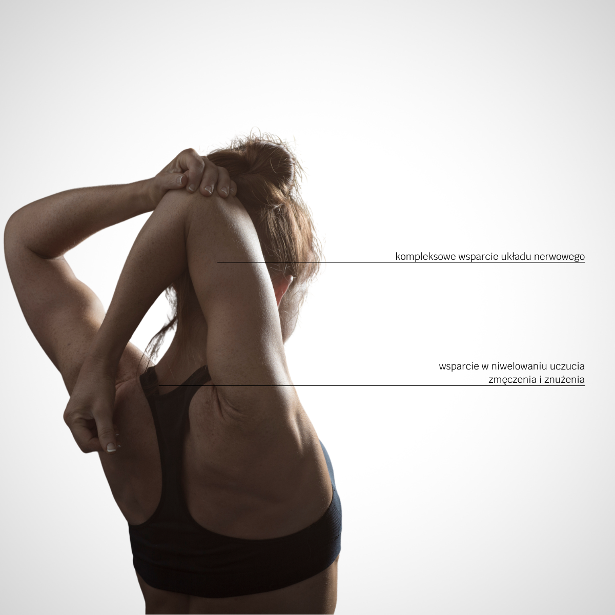 ALLmag® – Labs212®